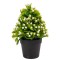 Planta artificiala, tip Buxus, cu ghiveci, Naimeed D6921, 24x8.8 cm, Alb/Verde