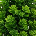 Planta artificiala, tip Kalanchoe, cu ghiveci, Naimeed D6922, 24x8.8 cm, Verde Planta artificiala, tip Kalanchoe, cu ghiveci, Naimeed D6922, 24x8.8 cm, Verde