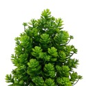 Planta artificiala, tip Kalanchoe, cu ghiveci, Naimeed D6922, 24x8.8 cm, Verde Planta artificiala, tip Kalanchoe, cu ghiveci, Naimeed D6922, 24x8.8 cm, Verde