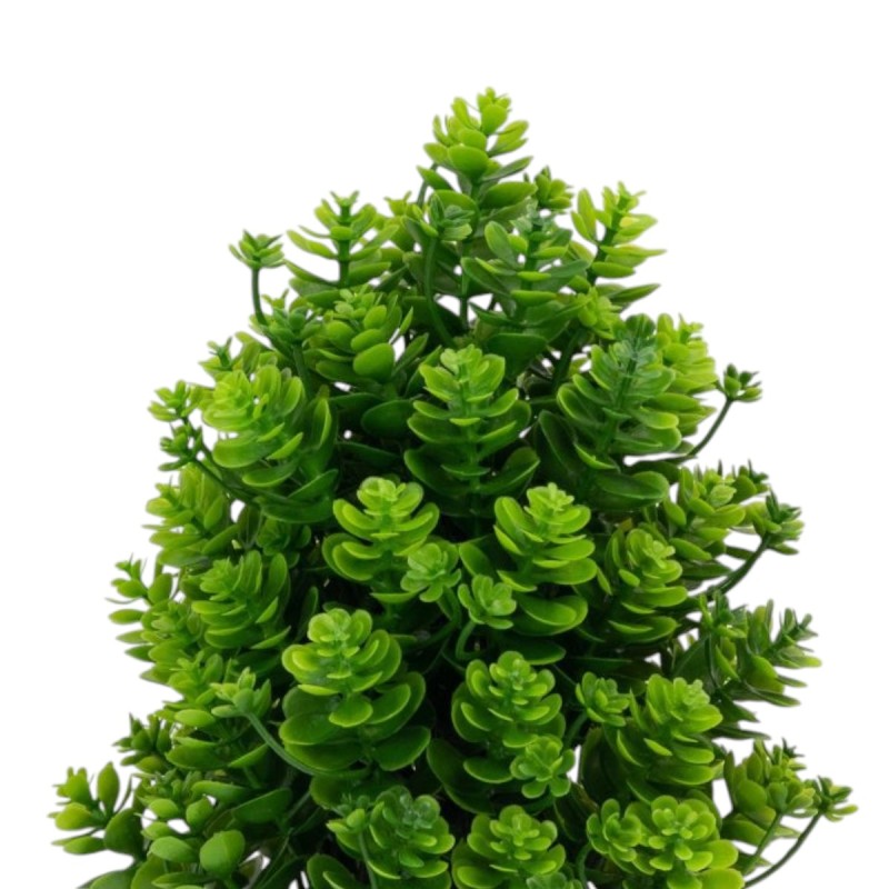 Planta artificiala, tip Kalanchoe, cu ghiveci, Naimeed D6922, 24x8.8 cm, Verde Planta artificiala, tip Kalanchoe, cu ghiveci, Naimeed D6922, 24x8.8 cm, Verde