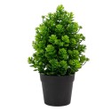 Planta artificiala, tip Kalanchoe, cu ghiveci, Naimeed D6922, 24x8.8 cm, Verde Planta artificiala, tip Kalanchoe, cu ghiveci, Naimeed D6922, 24x8.8 cm, Verde