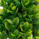 Planta artificiala, tip Buxus, cu ghiveci, Naimeed D6923, 24x8.8 cm, Verde Planta artificiala, tip Buxus, cu ghiveci, Naimeed D6923, 24x8.8 cm, Verde