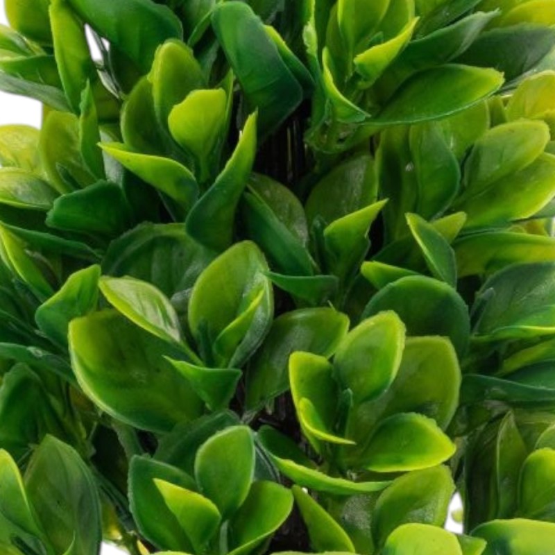 Planta artificiala, tip Buxus, cu ghiveci, Naimeed D6923, 24x8.8 cm, Verde Planta artificiala, tip Buxus, cu ghiveci, Naimeed D6923, 24x8.8 cm, Verde