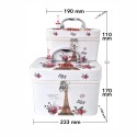 Set 2 Genti pentru cosmetice, Naimeed D269, Paris Auriu