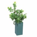 Ghiveci ecologic, Eco-friendly, Naimeed D6348, Mic, din materiale minerale, Verde, 55x26x26cm Ghiveci ecologic, Eco-friendly, Naimeed D6348, Mic, din materiale minerale, Verde, 55x26x26cm