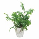 Ghiveci ecologic, Eco-friendly, Naimeed D6356, Mediu, din materiale minerale, Bej, 40x35x35cm Ghiveci ecologic, Eco-friendly, Naimeed D6356, Mediu, din materiale minerale, Bej, 40x35x35cm