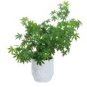 Ghiveci ecologic, Eco-friendly, Naimeed D6360, Mediu, din materiale minerale, Alb, 34x32x32cm Ghiveci ecologic, Eco-friendly, Naimeed D6360, Mediu, din materiale minerale, Alb, 34x32x32cm