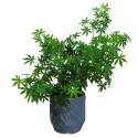 Ghiveci ecologic, Eco-friendly, Naimeed D6362, Mic, din materiale minerale, Gri, 28x27x27cm Ghiveci ecologic, Eco-friendly, Naimeed D6362, Mic, din materiale minerale, Gri, 28x27x27cm