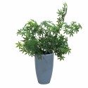 Ghiveci ecologic, Eco-friendly, Naimeed D6372, Mediu, din materiale minerale, Gri, 49,5x31x31cm Ghiveci ecologic, Eco-friendly, Naimeed D6372, Mediu, din materiale minerale, Gri, 49,5x31x31cm