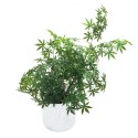 Ghiveci ecologic, Eco-friendly, Naimeed D6379, Mic, din materiale minerale, Alb, 26x29x29cm Ghiveci ecologic, Eco-friendly, Naimeed D6379, Mic, din materiale minerale, Alb, 26x29x29cm