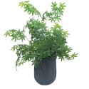 Ghiveci ecologic, Eco-friendly, Naimeed D6385, Mic, din materiale minerale, Negru, 34x27x27cm Ghiveci ecologic, Eco-friendly, Naimeed D6385, Mic, din materiale minerale, Negru, 34x27x27cm