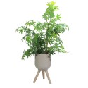 Ghiveci ecologic, Eco-friendly, Naimeed D6391 Mediu, din materiale minerale, Bej, 32x29x29cm Ghiveci ecologic, Eco-friendly, Naimeed D6391 Mediu, din materiale minerale, Bej, 32x29x29cm