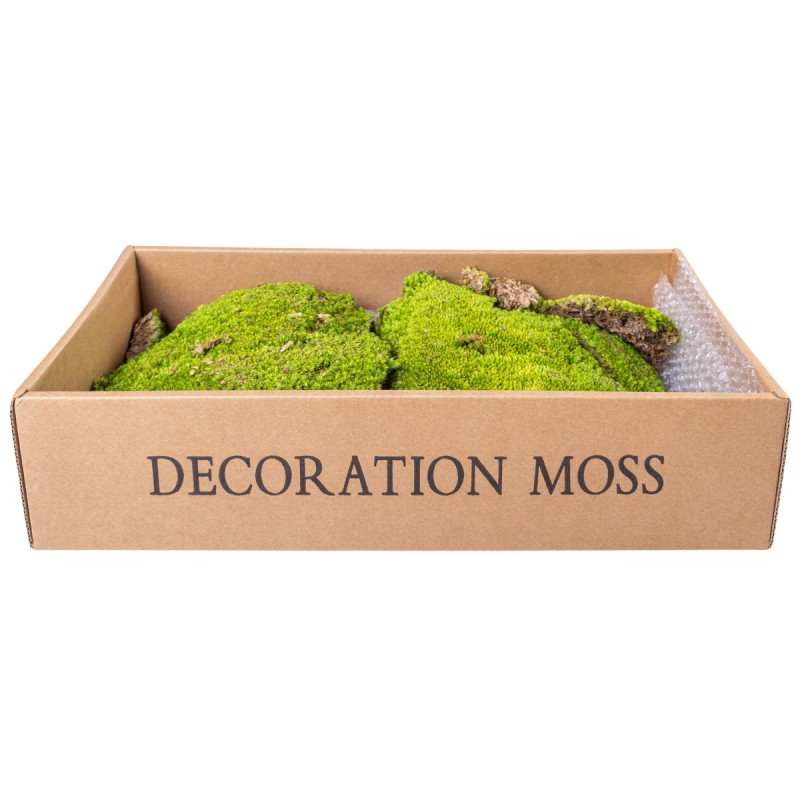 Muschi Premium naturali, stabilizati, Naimeed D6557, pentru decoratiuni hand made, biodegradabili