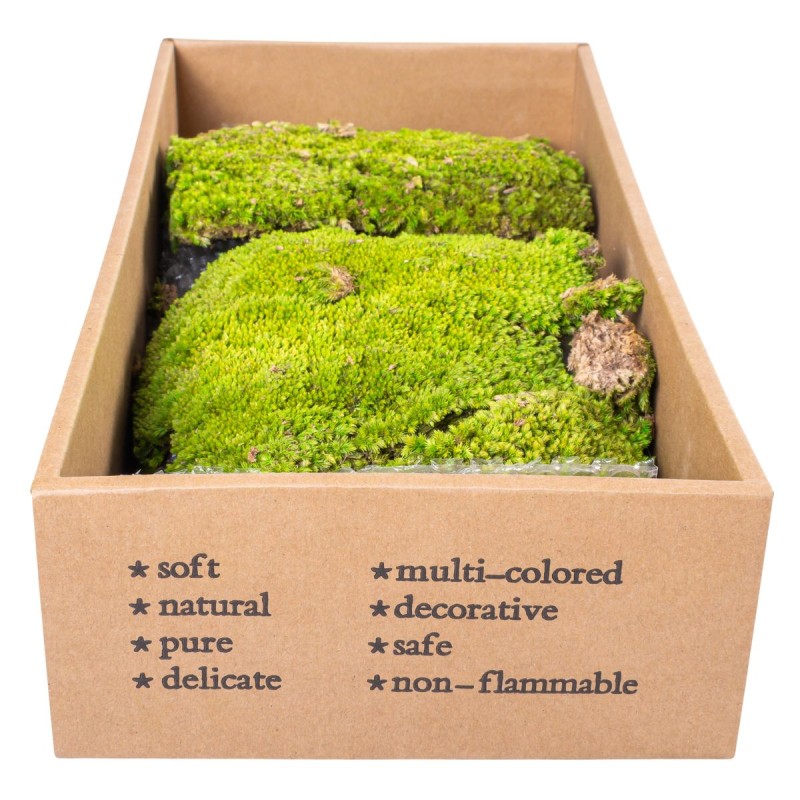 Muschi Premium naturali, stabilizati, Naimeed D6557, pentru decoratiuni hand made, biodegradabili