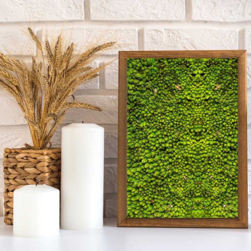 Muschi Premium naturali, stabilizati, Naimeed D6557, pentru decoratiuni hand made, biodegradabili