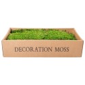 Muschi Premium naturali, stabilizati, Naimeed D6558, pentru decoratiuni hand made, biodegradabili