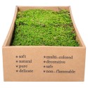 Muschi Premium naturali, stabilizati, Naimeed D6558, pentru decoratiuni hand made, biodegradabili