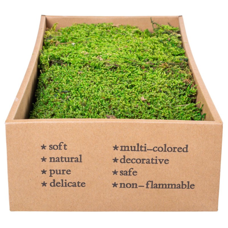 Muschi Premium naturali, stabilizati, Naimeed D6558, pentru decoratiuni hand made, biodegradabili