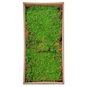 Muschi Premium naturali, stabilizati, Naimeed D6558, pentru decoratiuni hand made, biodegradabili, 500g Muschi Premium naturali, stabilizati, Naimeed D6558, pentru decoratiuni hand made, biodegradabili