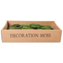 Muschi Premium naturali, stabilizati, Naimeed D6559, pentru decoratiuni hand made, biodegradabili