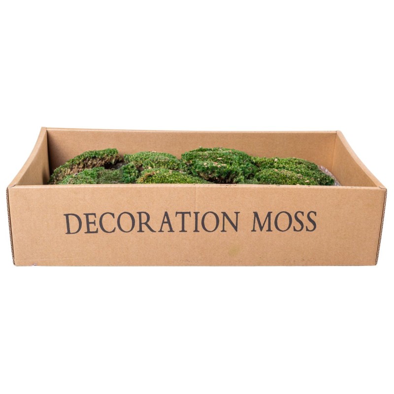 Muschi Premium naturali, stabilizati, Naimeed D6559, pentru decoratiuni hand made, biodegradabili