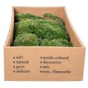 Muschi Premium naturali, stabilizati, Naimeed D6559, pentru decoratiuni hand made, biodegradabili