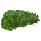 Muschi Premium naturali, stabilizati, Naimeed D6559, pentru decoratiuni hand made, biodegradabili