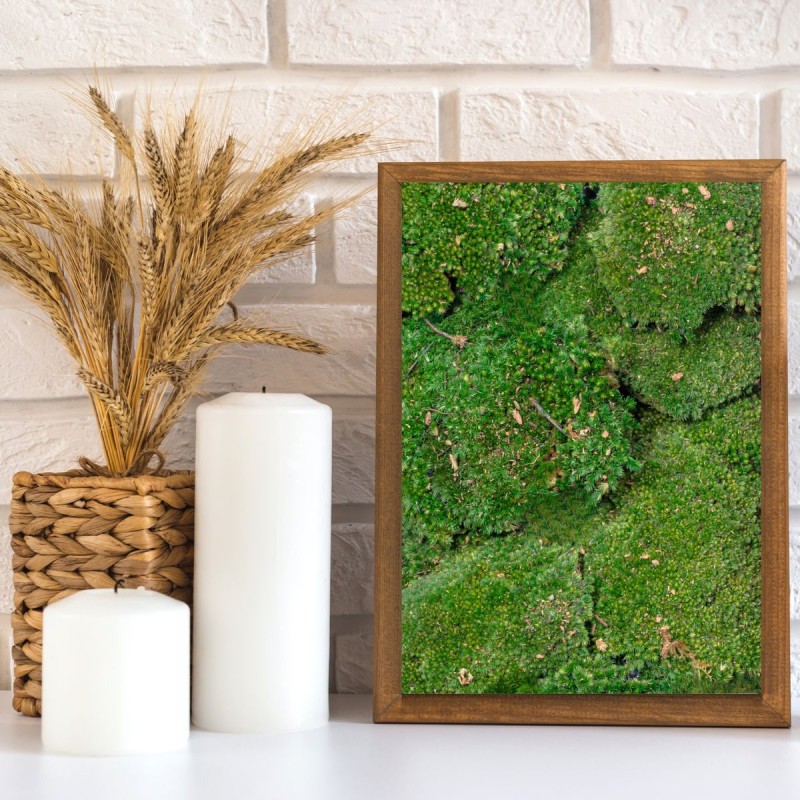 Muschi Premium naturali, stabilizati, Naimeed D6559, pentru decoratiuni hand made, biodegradabili