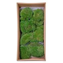 Muschi Premium naturali, stabilizati, Naimeed D6559, pentru decoratiuni hand made, biodegradabili, 500g Muschi Premium naturali, stabilizati, Naimeed D6559, pentru decoratiuni hand made, biodegradabili