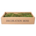 Muschi Premium naturali, stabilizati, Naimeed D6560, pentru decoratiuni hand made, biodegradabili