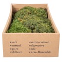 Muschi Premium naturali, stabilizati, Naimeed D6560, pentru decoratiuni hand made, biodegradabili