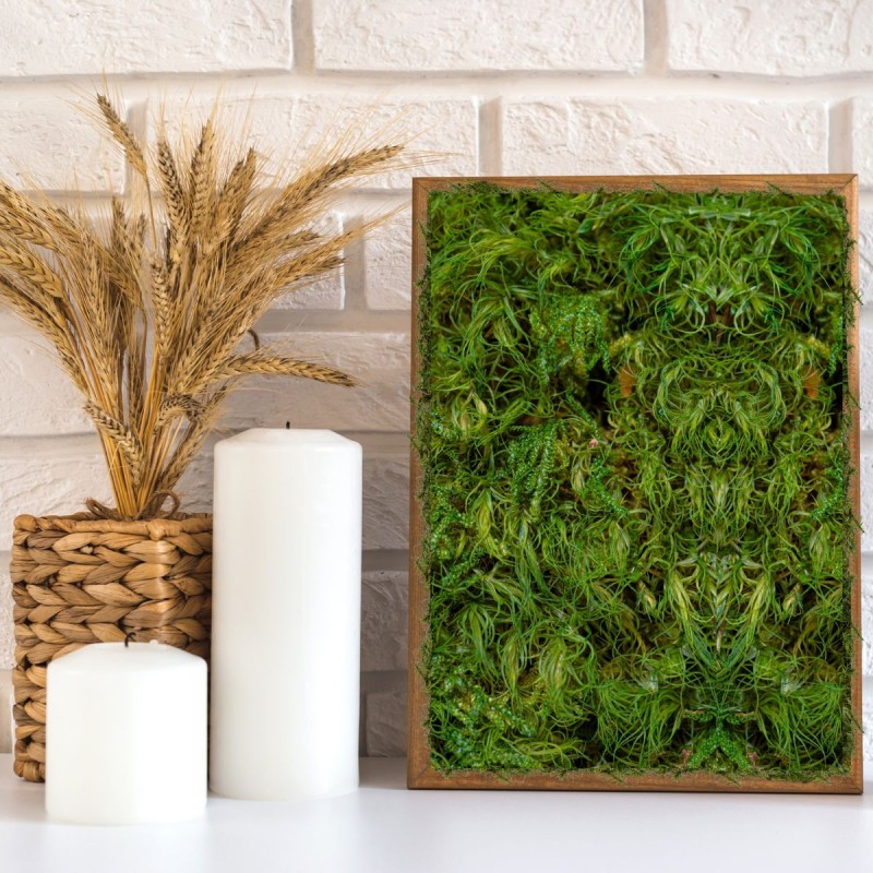 Muschi Premium naturali, stabilizati, Naimeed D6560, pentru decoratiuni hand made, biodegradabili