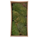 Muschi Premium naturali, stabilizati, Naimeed D6560, pentru decoratiuni hand made, biodegradabili, 500g Muschi Premium naturali, stabilizati, Naimeed D6560, pentru decoratiuni hand made, biodegradabili