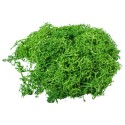 Licheni Premium naturali, stabilizati, Naimeed D6561, pentru decoratiuni hand made, biodegradabili, 500g