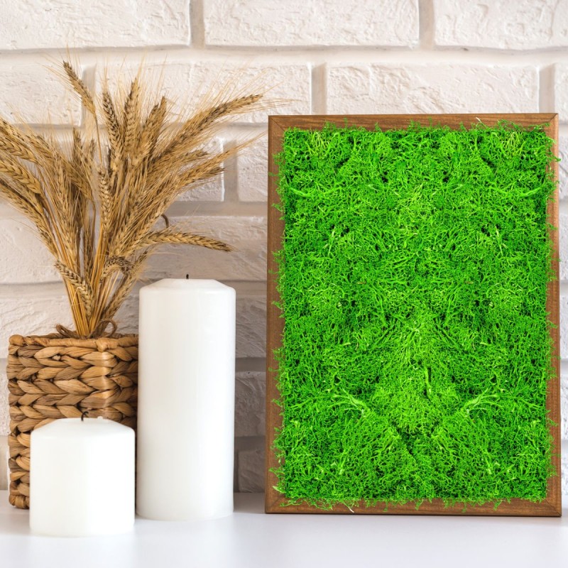 Licheni Premium naturali, stabilizati, Naimeed D6561, pentru decoratiuni hand made, biodegradabili, 500g