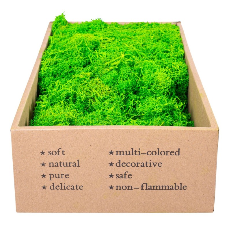 Licheni Premium naturali, stabilizati, Naimeed D6563, pentru decoratiuni hand made, biodegradabili, 500g