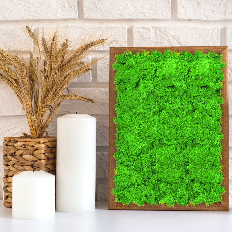 Licheni Premium naturali, stabilizati, Naimeed D6563, pentru decoratiuni hand made, biodegradabili, 500g