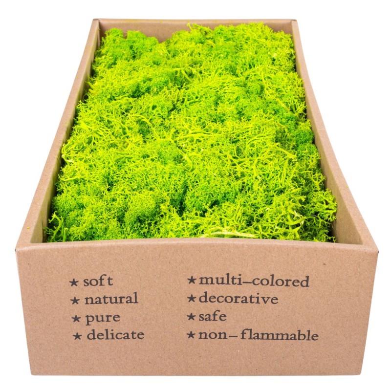 Licheni Premium naturali, stabilizati, Naimeed D6564, pentru decoratiuni hand made, biodegradabili, 500g