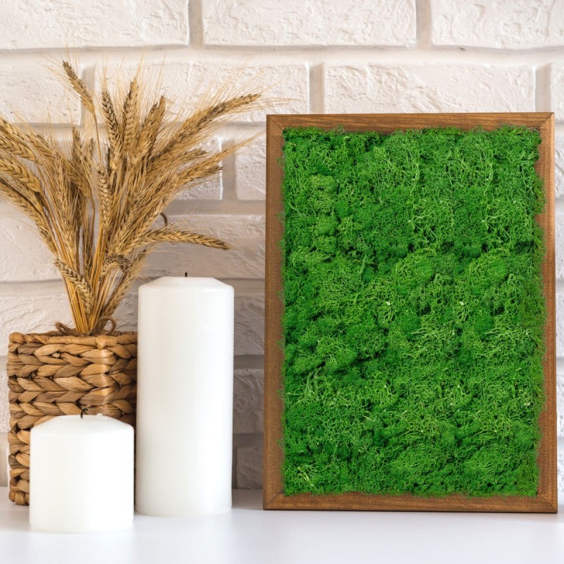 Licheni Premium naturali, stabilizati, Naimeed D6566, pentru decoratiuni hand made, biodegradabili, 500g