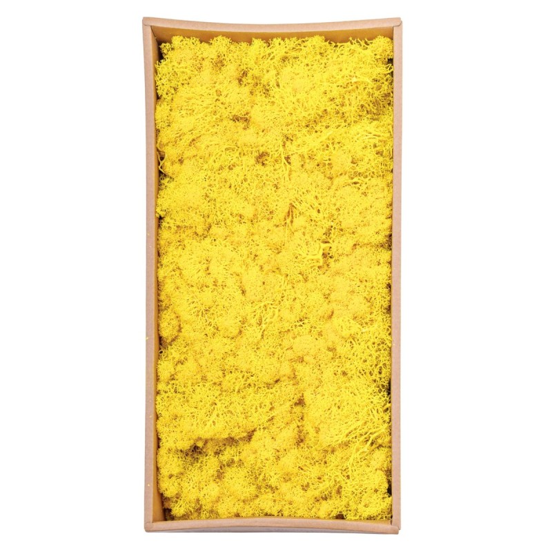 Licheni Premium naturali, stabilizati, Naimeed D6567, pentru decoratiuni hand made, biodegradabili, 500g Licheni Premium naturali, stabilizati, Naimeed D6567, pentru decoratiuni hand made, biodegradabili, 500g