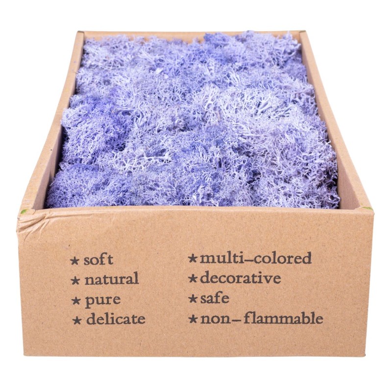 Licheni Premium naturali, stabilizati, Naimeed D6568, pentru decoratiuni hand made, biodegradabili, 500g