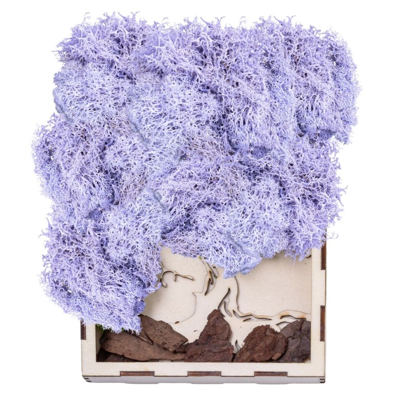 Licheni Premium naturali, stabilizati, Naimeed D6568, pentru decoratiuni hand made, biodegradabili, 500g