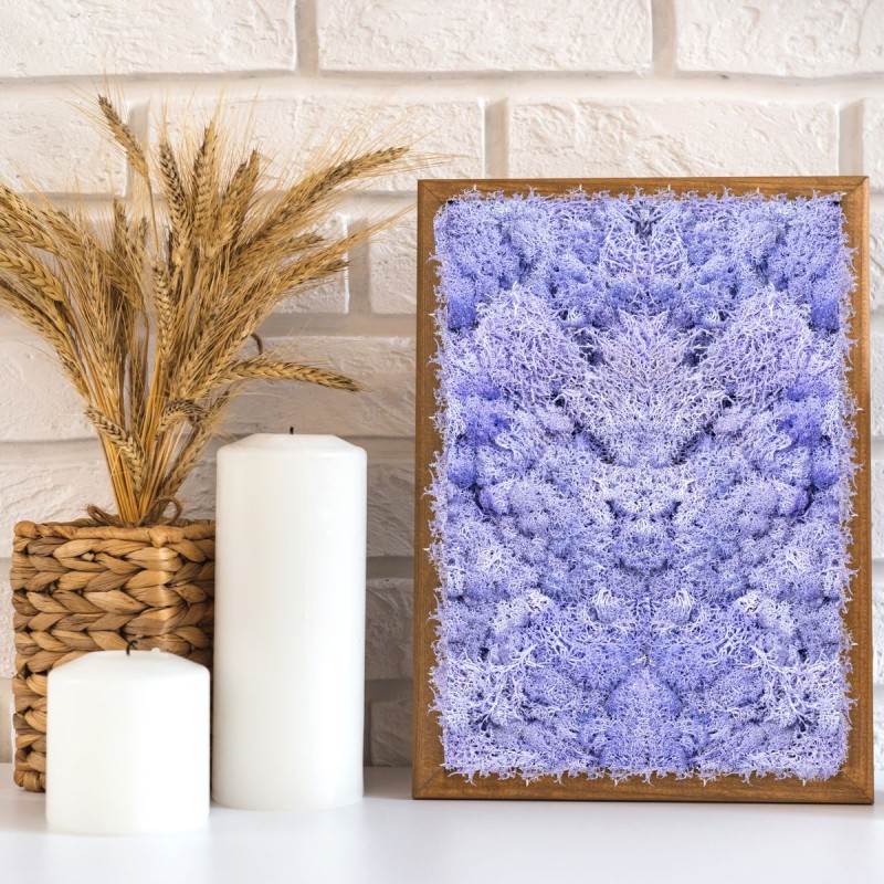 Licheni Premium naturali, stabilizati, Naimeed D6568, pentru decoratiuni hand made, biodegradabili, 500g