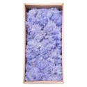 Licheni Premium naturali, stabilizati, Naimeed D6568, pentru decoratiuni hand made, biodegradabili, 500g Licheni Premium naturali, stabilizati, Naimeed D6568, pentru decoratiuni hand made, biodegradabili, 500g