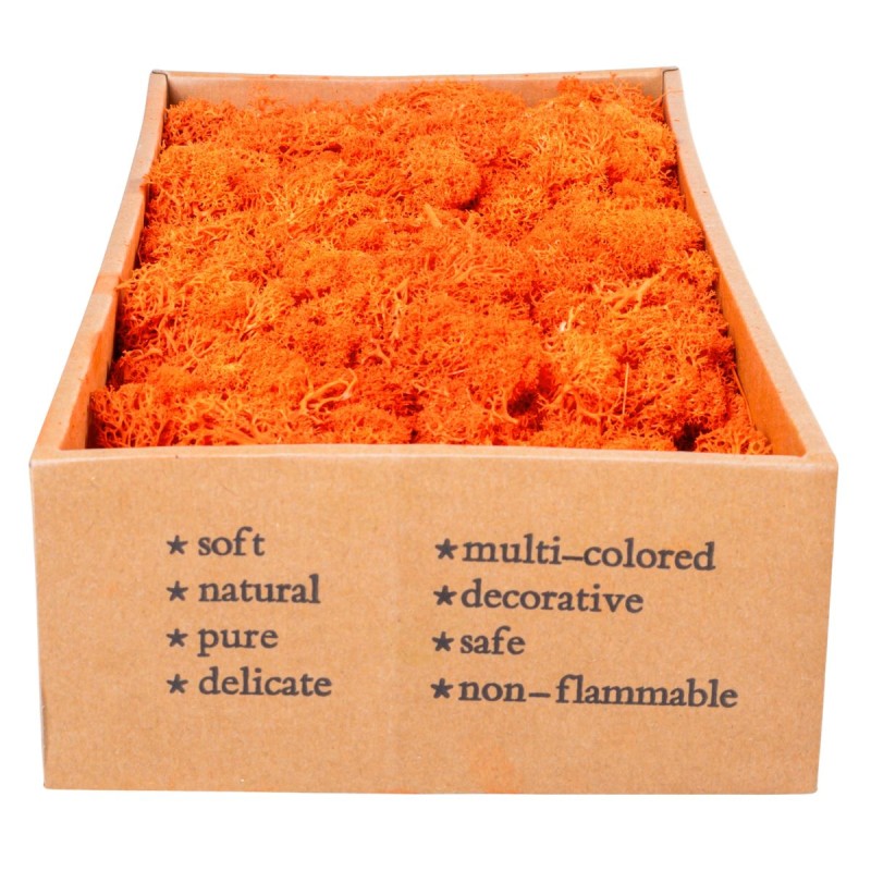 Licheni Premium naturali, stabilizati, Naimeed D6569, pentru decoratiuni hand made, biodegradabili, 500g