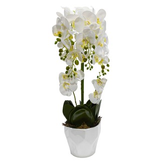 Orhidee cu aspect natural in ghiveci ceramic, 70 cm, Naimeed D4842, Alb Orhidee cu aspect natural in ghiveci ceramic, 70 cm, Naimeed D4842, Alb