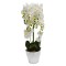 Orhidee cu aspect natural in ghiveci ceramic, 70 cm, Naimeed D4842, Alb