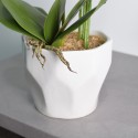 Orhidee cu aspect natural in ghiveci ceramic, 70 cm, Naimeed D4843, Alb