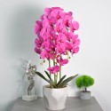 Orhidee cu aspect natural in ghiveci ceramic, 70 cm, Naimeed D4843, Magenta Orhidee cu aspect natural in ghiveci ceramic, 70 cm, Naimeed D4843, Magenta