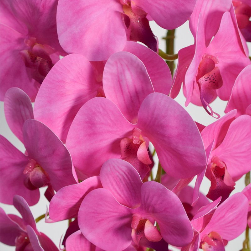 Orhidee cu aspect natural in ghiveci ceramic, 70 cm, Naimeed D4843, Magenta Orhidee cu aspect natural in ghiveci ceramic, 70 cm, Naimeed D4843, Magenta